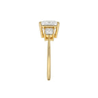 18K Solid Gold Princess Trilogy Lab Diamond Engagement Ring