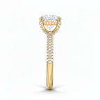 My Store 4 round cut solitaire engagement ring in yellow gold with a triple-row micro-pavé diamond band, side view.