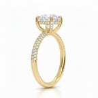 My Store 4 round solitaire engagement ring in yellow gold with a triple-row micro-pavé diamond band and four-prong setting