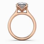 Round Cut Hidden Halo Compass Solitaire Engagement Ring in Solid Gold⁠