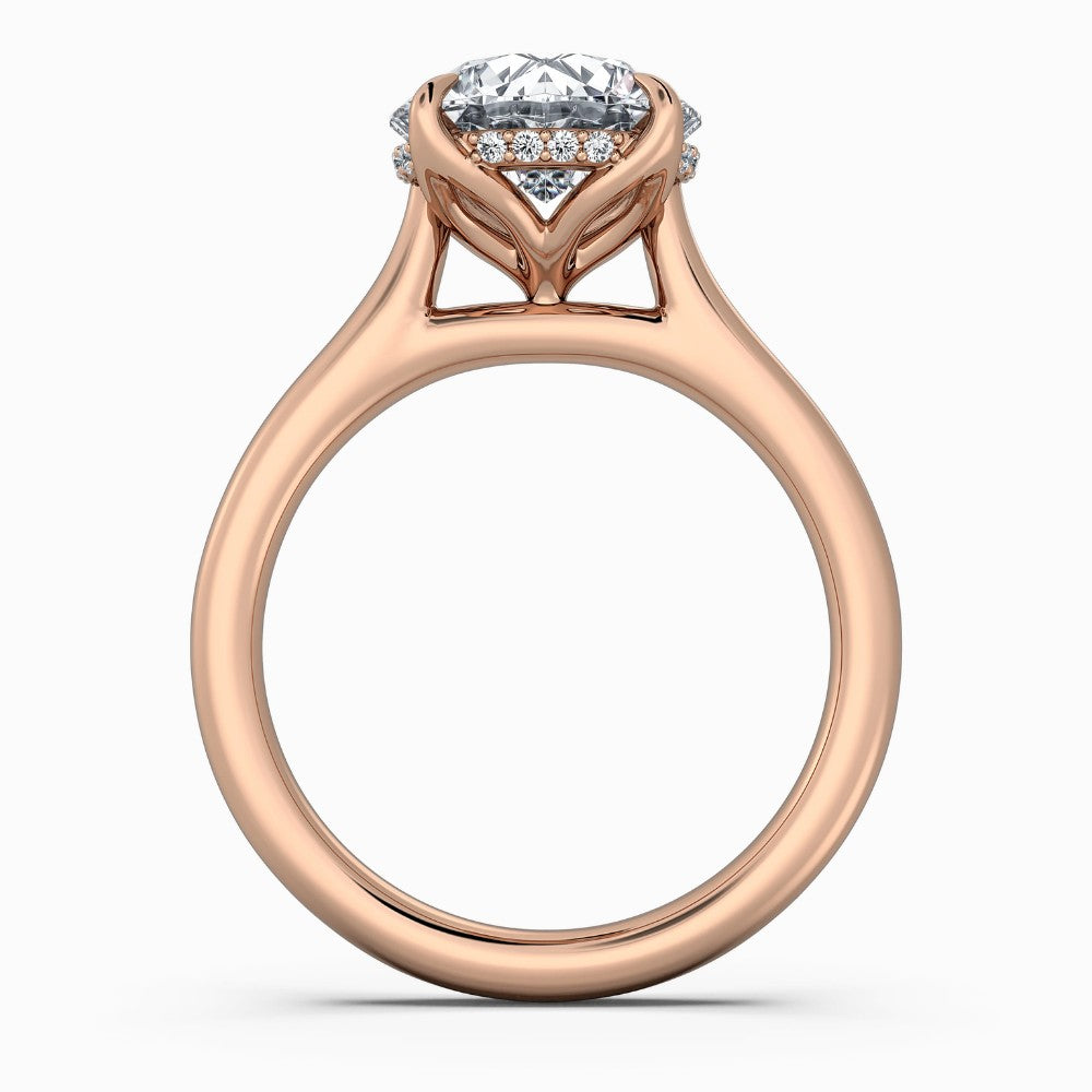 Round Cut Hidden Halo Compass Solitaire Engagement Ring in Solid Gold⁠