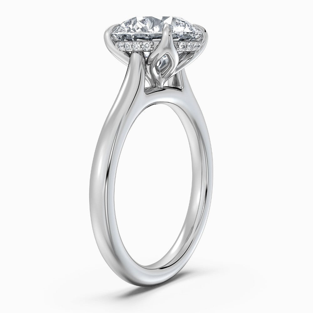 Round Cut Hidden Halo Compass Solitaire Engagement Ring in Solid Gold⁠