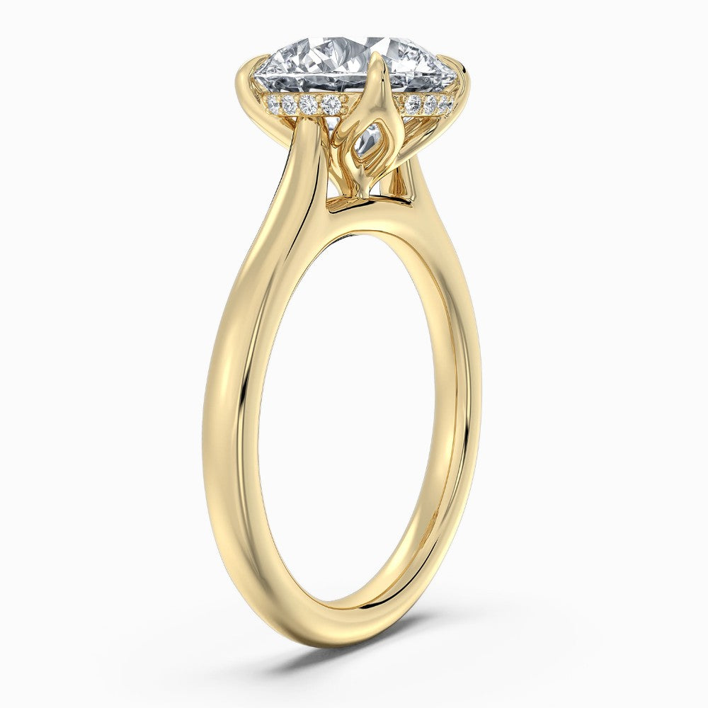 Round Cut Hidden Halo Compass Solitaire Engagement Ring in Solid Gold⁠
