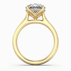 Round Cut Hidden Halo Compass Solitaire Engagement Ring in Solid Gold⁠