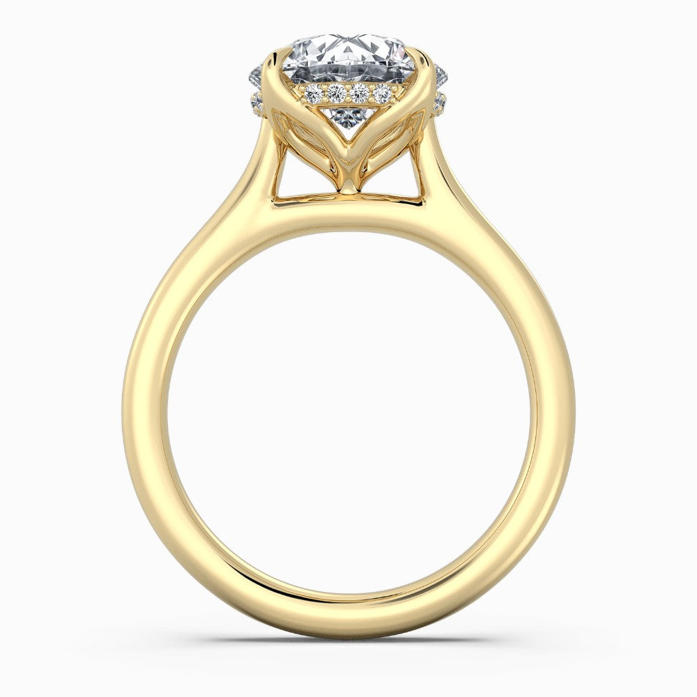 Round Cut Hidden Halo Compass Solitaire Engagement Ring in Solid Gold⁠