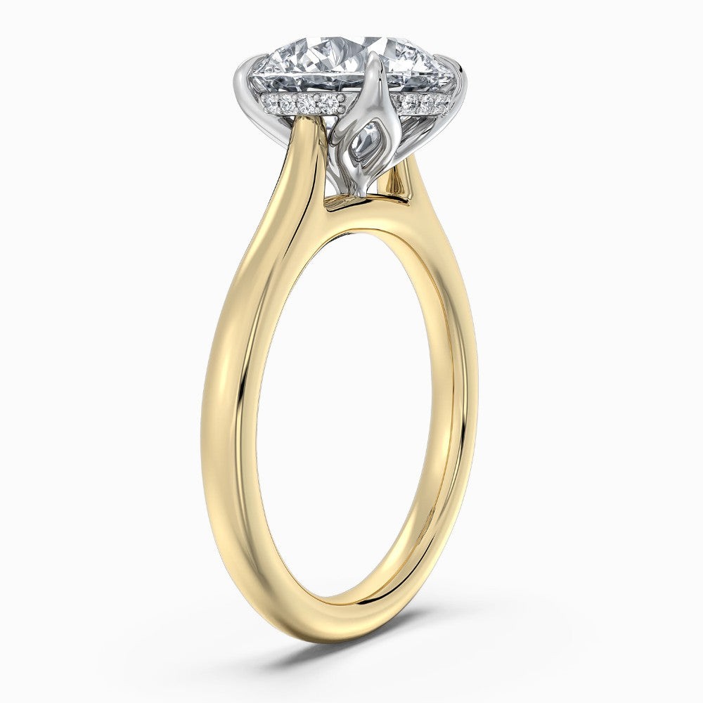 ⁠Round Cut Hidden Halo Solitaire Engagement Ring in Two-Tone Gold⁠